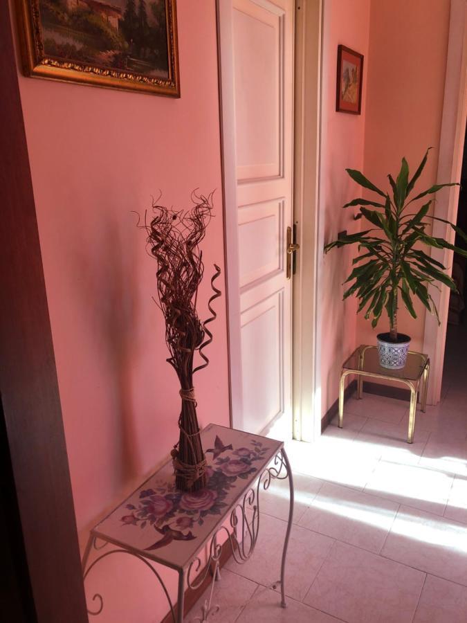 Il Girasole Apartment Castel Ritaldi Bagian luar foto